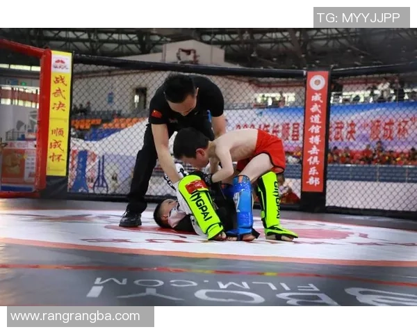 太极与搏击的巅峰对决传统与现代的武道交锋之战 太极与搏击的巅峰对决传统与现代的武道交锋之战