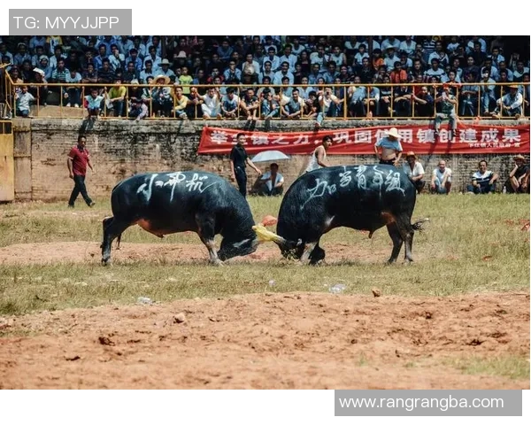 班特列与西悉尼的激烈对决揭示足球战术的较量与团队精神的碰撞
